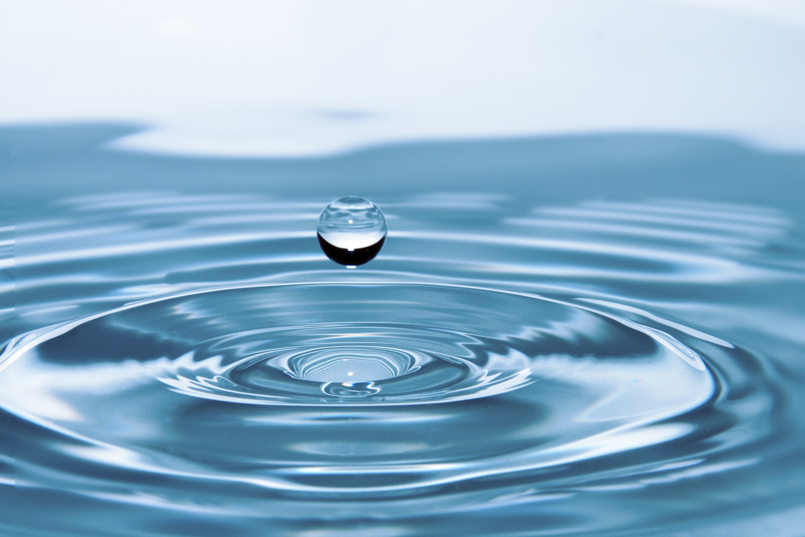 Das neue „Zukunftslabor Wasser“ hat seine Arbeit am Zentrum für digitale Innovationen (ZDIN) aufgenommen.