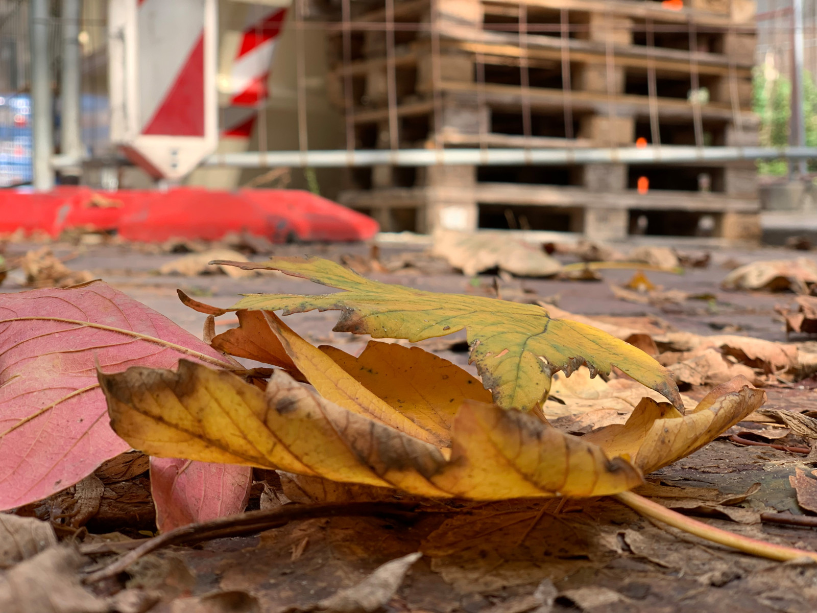 Herbstliche Witterung erfordert insbesondere am Bau erhöhte Umsicht. Die kalte und nasse Jahreszeit bringt viele Herausforderungen für die Arbeit im Freien mit sich - Nässe und Glätte bedeuten Rutschgefahr. 
